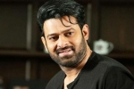 Prabhas news, Prabhas Project K new updates, prabhas to join project k from november, Ashwini dutt