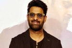 Prabhas Vintage King latest, Prabhas Vintage King business, interesting title for prabhas next, Zarina wahab