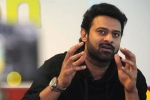 Prabhas, Prabhas and Malavika Mohanan, two young beauties in talks for prabhas next, Pelli sandad Prabhas, Prabhas and Malavika Mohanan, two young beauties in talks for prabhas next, Pelli sandad