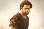 Prabhas and Maruthi news, Prabhas and Maruthi news, prabhas to romance three heroines, Pakka commercial