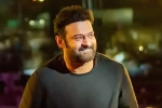 Shruti Haasan, Prabhas movie updates, prabhas back to the sets of salaar, Indian actors Shruti Haasan, Prabhas movie updates, prabhas back to the sets of salaar, Indian actors