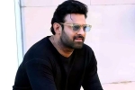 Prabhas25 news, Prabhas25 breaking updates, prabhas to offer a new treat for his fans, Prabhas25