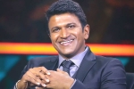 Puneeth Rajkumar breaking news, Puneeth Rajkumar death, kannada actor puneeth rajkumar is no more, Indian film fraternity