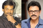 Venkatesh next film, Puri Jagannadh, puri jagannadh to direct venkatesh, Babu bangaram
