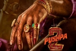 Allu Arjun, Pushpa: The Rule budget, allu arjun s dedication for pushpa the rule, Anasuya