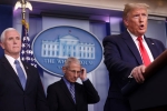 president trump, cdc, quarantine will not be necessary president trump about new york lockdown, Domestic travel