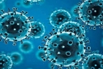 Coronavirus USA, R.1 Coronavirus updates, r 1 variant of coronavirus traced in 35 countries, Mutants