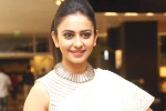 Rakul Preet Singh next, Harish Shankar, rakul preet s multi starrer, Spyder