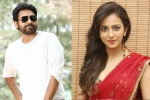 Rakul Preet Singh updates, Rakul Preet Singh news, rakul rejects pawan s film, Katamrayudu