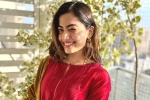 Rashmika Mandanna new movies, NVR Cinema, rashmika mandanna bags one more biggie, Gautam tinnanuri