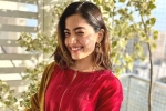 Rashmika Mandanna upcoming films, Rashmika Mandanna new movie, rashmika mandanna bags one more biggie, Gautam tinnanuri