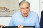 Ratan Tata total businesses, Ratan Tata achievements, indian legend ratan tata is no more, Grief