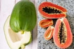 Raw Papaya Vs Ripe Papaya news, Raw Papaya Vs Ripe Papaya breaking, raw papaya vs ripe papaya which is better for blood sugar, Actors Raw Papaya Vs Ripe Papaya news, Raw Papaya Vs Ripe Papaya breaking, raw papaya vs ripe papaya which is better for blood sugar, Actors