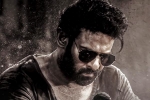 Prabhas, Salaar 2 budget, new update from salaar 2, Prashanth neel