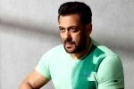 God Father, Salman Khan updates, salman khan coming for chiranjeevi and charan, Lucifer remake