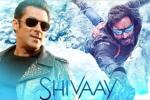 Salman Khan latest, Ae Dil Hai Mushkil, salman khan to promote shivaay, Big boss