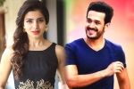 Samantha next project, Samantha next project, samantha and akhil to clash in august, Bollywood films