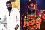 Pushpa: The Rule breaking, Pushpa: The Rule, sanjay dutt s surprise in pushpa the rule, Sanjay dutt