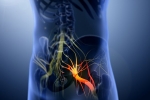 Sciatica nerve, Sciatica nerve disorder, help yourself on sciatica, Sciatica nerve