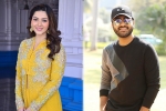 Sharwanand news, Maruthi, mehrene to romance sharwanand, Shathamanam bhavathi Sharwanand news, Maruthi, mehrene to romance sharwanand, Shathamanam bhavathi