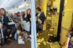 Singapore Airlines turbulence, Singapore Airlines turbulence horror videos, one dead and 30 injured in singapore airlines turbulence horror, Singapore airlines accident
