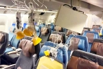 Singapore Airlines, Singapore Airlines breaking, singapore airlines statement after turbulence horror, Singapore airlines accident