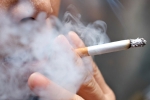 research, tobacco, smoking cigarettes can lead to poor mental health, Hebrew