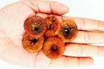 Soaked Anjeer news, Soaked Anjeer health experts, can you take soaked anjeer every day, Bone health