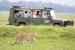 South African Safari Trip total days, South African Safari Trip total video, how to plan your south african safari trip, Unsc