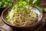 Sprouts eating, Sprouts, benefits of adding sprouts to your diet, Healthy digestion