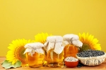 Sunflower Oil for heart, Sunflower Oil benefits, long term effects of consuming sunflower oil on heart health, Sunflower oil