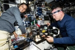 Sunita Williams news, Sunita Williams news, sunita williams response on being stuck in space, Us presidential elections