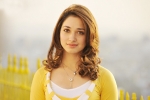 Tamannaah news, Tamannaah updates, tamannaah locked for a bollywood remake, Milky beauty