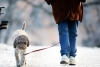Ten Minute Walk after Meal Can Help Lower Blood Sugar Levels