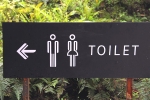public washrooms, public washrooms, 6 things you should never do in a public toilet, Paper towel