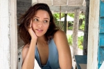 Triptii Dimri updates, Triptii Dimri updates, triptii dimri is eager to sign hollywood films, Karthi