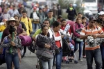 donald trump, Legal Immigrants on public assistance, trump tightens rules on legal immigrants seeking public aid, School education