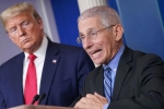 Donald Trump, Anthony Fauci, us could start reopening in may anthony fauci, Andrew cuomo Donald Trump, Anthony Fauci, us could start reopening in may anthony fauci, Andrew cuomo