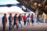 USA Illegal Immigrants by Donald Trump, USA Illegal Immigrants arrested, usa arrests over 500 illegal immigrants, Donald trump rule