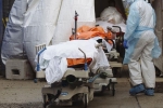 USA Coronavirus breaking news, USA Coronavirus news, usa coronavirus deaths reaches 9 lakhs, Coronavirus deaths