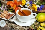 Uric Acid Management experts, Uric Acid Management, managing uric acid naturally with ayurvedic herbal teas, Everyday habits