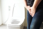 Urinary tract infection articles, Urinary tract infection articles, urinary tract infection and the impacts, Urinary tract infection