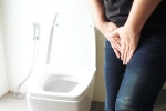 Urinary tract infection USA, Urinary tract infection, urinary tract infection and the impacts, Urinary tract infections