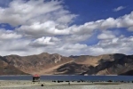 borders, Pangong Lake, india orders china to vacate finger 5 area near pangong lake, Pangong lake