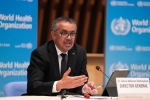 Coronavirus China, World Health Organization news, who report on coronavirus leaves several logics unanswered, Coronavirus in china