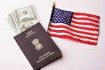 Permanent Residency, Green Card, work permit of h1b visa holder s spouses will be refused, H1b visa