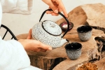 Wellness Tea tips, Wellness Tea updates, can wellness tea help with weight loss and belly fat, Lifestyle