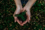 world earth day, sustainable, what can you do to save earth, Earth day