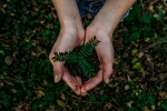 world earth day, planet, what can you do to save earth, Greta thunberg