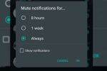 chats, Whatsapp, whatsapp to bring always mute option for chats on android, Conversations